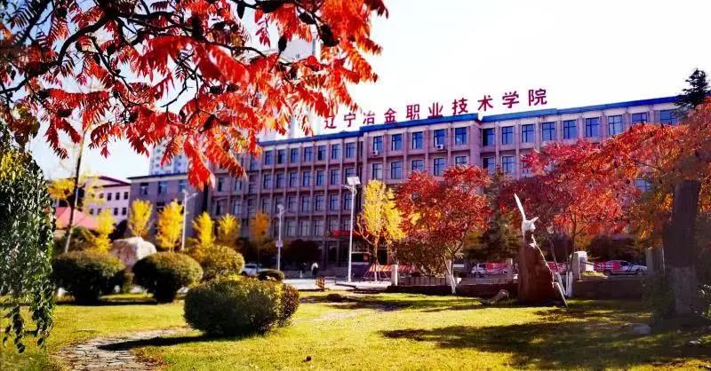 PG电子官方网站百年路上的我们│辽宁冶金职业技术学院：崇匠铸魂奋楫前行(图3)