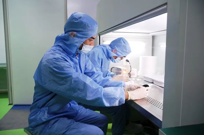 PG电子中国铜业：深耕“小金属 ”做好“大文章”(图2)