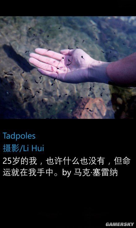 PG电子官方网站奇葩鱼专门偷袭小伙伴 那些很傻很天真的冷知识(图2) PG电子官方网站奇葩鱼专门偷袭小伙伴 那些很傻很天真的冷知识(图2)