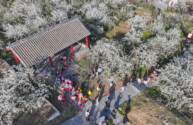 PG电子官方网站辣汤早新闻 徐工硬核助力世界超级工程；1568万人次！徐州公交最(图6)
