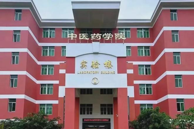 PG电子官网湛江科技学院：大改造！面向新经济怎样增强专业“新鲜度”？(图3)