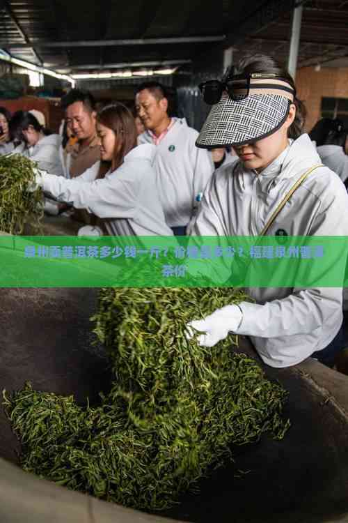 PG电子泉州卖普洱茶多少钱一斤？价格是多少？福建泉州普洱茶价(图5)